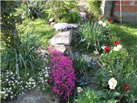 73e16068-Picture 351.jpg